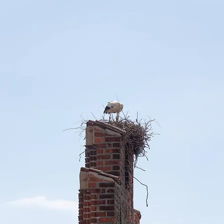 شقة Markt 1 Am Rathaus Tangermünde