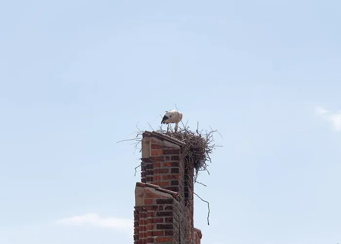 Apartment Markt 1 Am Rathaus Tangermuende